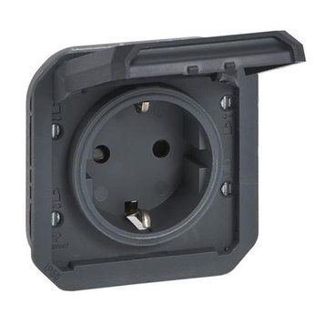 Розетка з заземленням механізм антрацит IP55 Plexo Legrand 069839L 069839L фото
