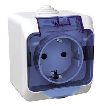 Розетка з заземленням та шторками IP44 з прозорою кришкою біла Cedar Plus Schneider Electric WDE000543 WDE000543 фото