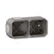Коробка накладна 2-постова сіра IP55 Plexo Legrand 069672L 069672L фото 1