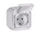 Розетка з заземленням накладна біла IP55 Plexo Legrand 069771L 069771L фото 1