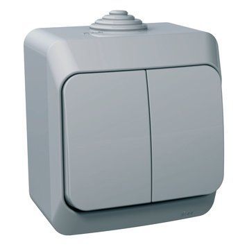 Вимикач 2-клавішний IP44 сірий Cedar Plus Schneider Electric WDE000650 WDE000650 фото