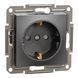 Розетка з з/к і шторками антрацит Asfora Schneider Electric EPH2900271 EPH2900271 фото 1
